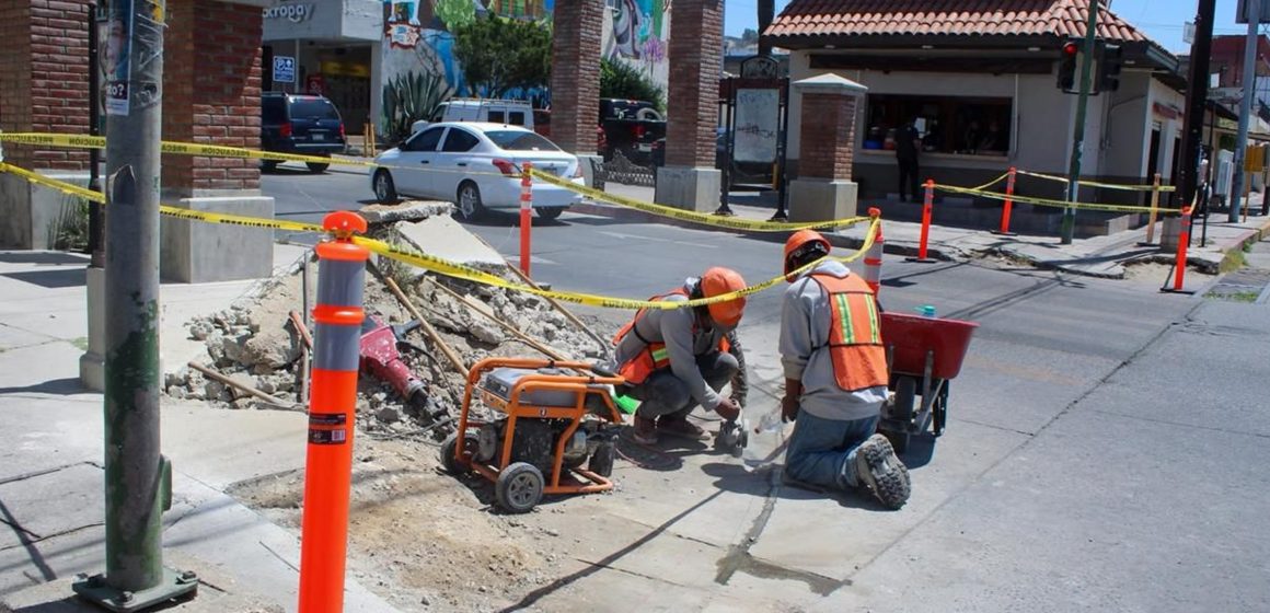 Román Cota inicia rehabilitación de banquetas en Zona Centro