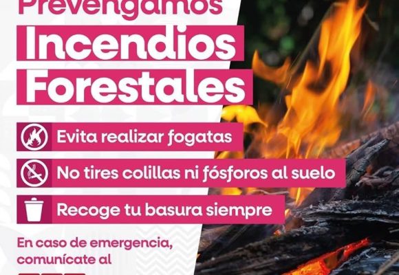 Llaman a reforzar prevención por incendios