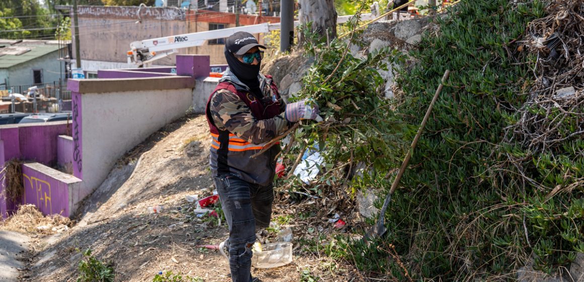 6 ‘Tijuana: Ciudad Limpia’ beneficia a más de 7 mil 500 personas