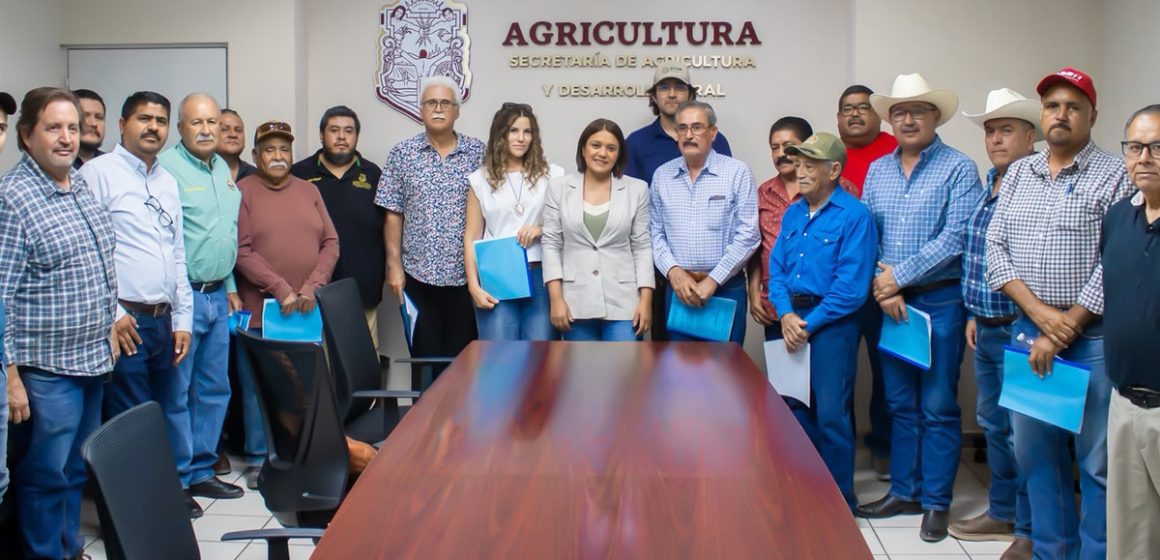 Mejorarán pozos y canales para aprovechar agua en el campo de BC
