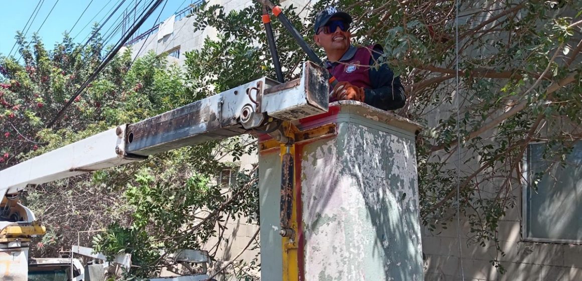 Retiran más de 80 toneladas de basura pesada