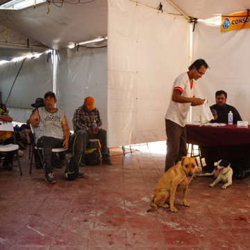7916244166a651a903110c Mexicali analiza nuevas medidas ante muertes por golpe de calor